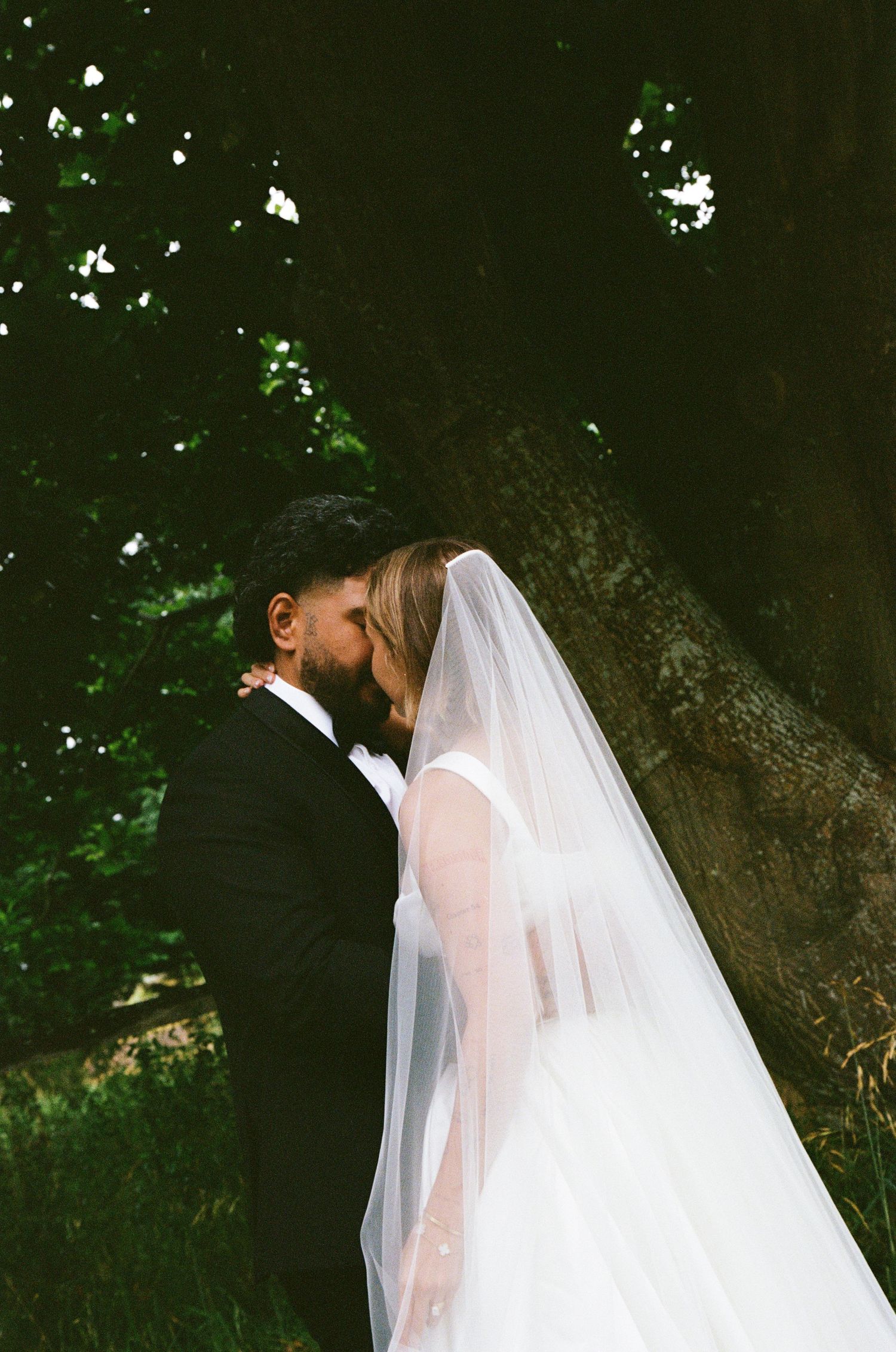 A romantic wedding couple shares an intimate moment under a large tree with flowing white veil and natural lighting.