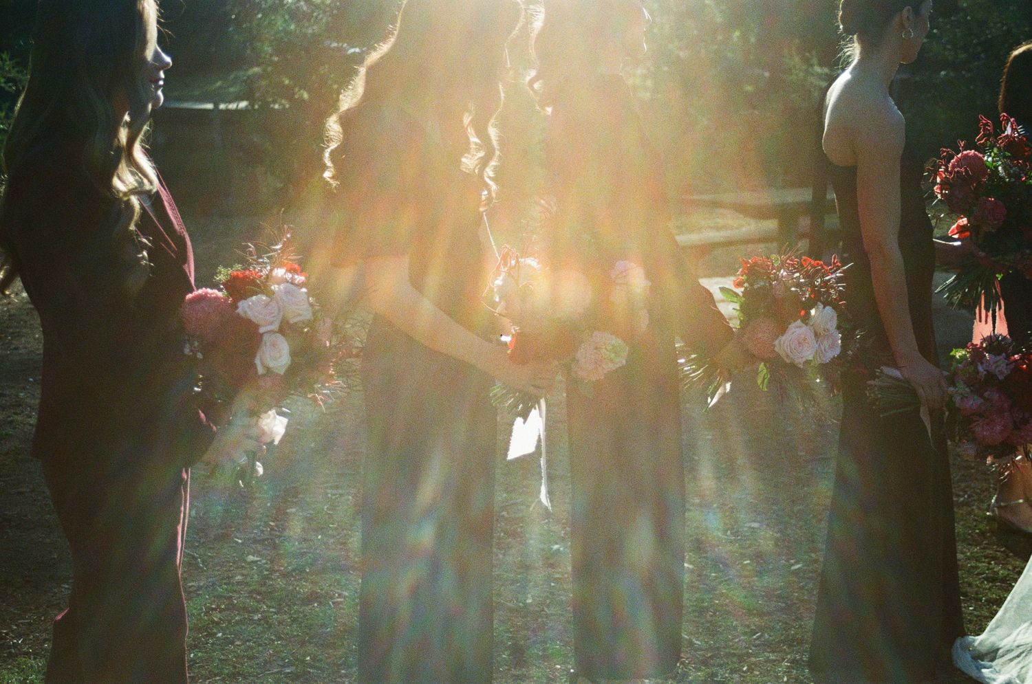 Sunlight streams through trees at an outdoor ceremony with pink floral decorations and silhouettes of attendees.