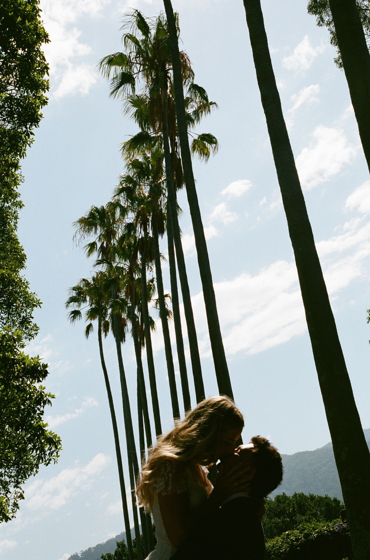 Tall palm trees line up against a bright blue sky creating dramatic silhouettes.