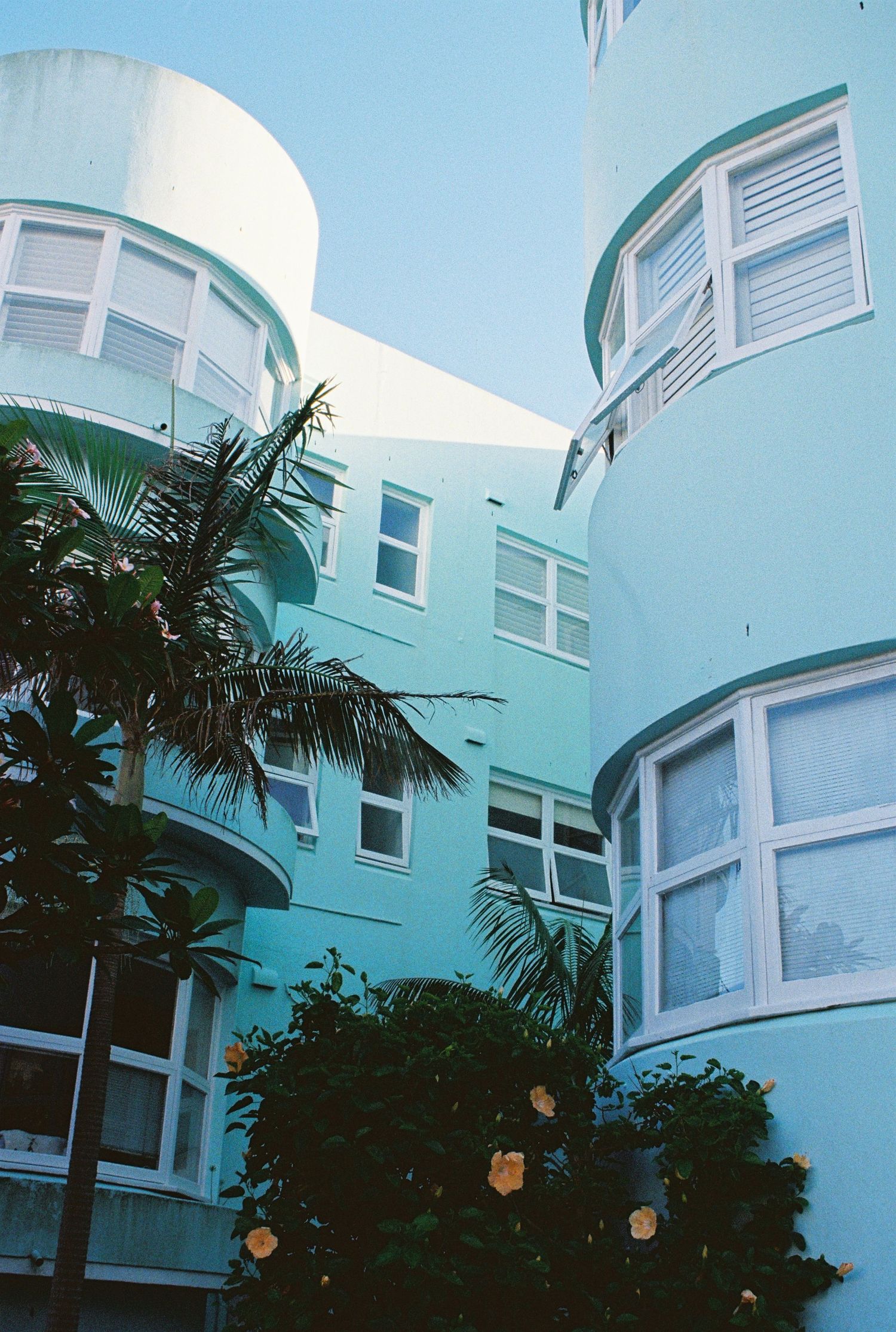 Pastel blue Art Deco building with curved towers, white-trimmed windows, palm trees, and yellow hibiscus flowers in foreground.