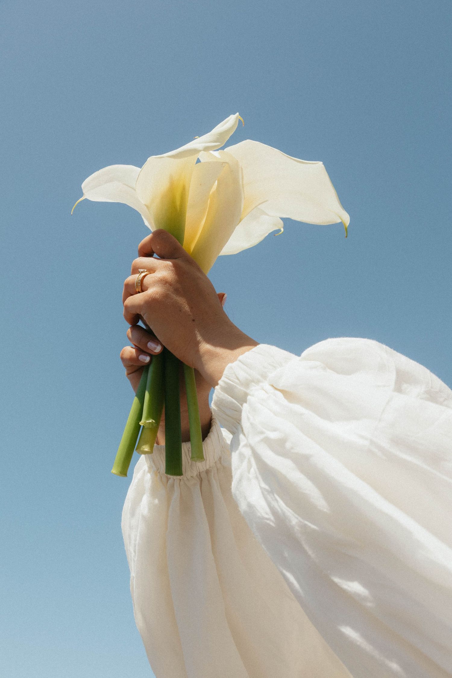 A hand holds a white calla lily flower against a bright blue sky background.