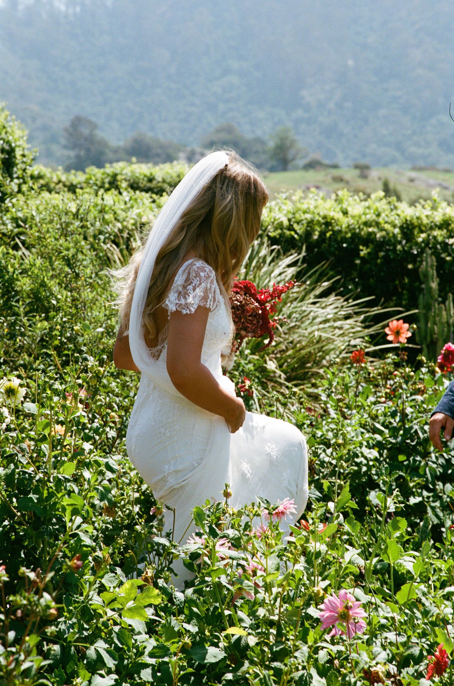 Bride in white lace dress walking through a vibrant garden with mountains in background.