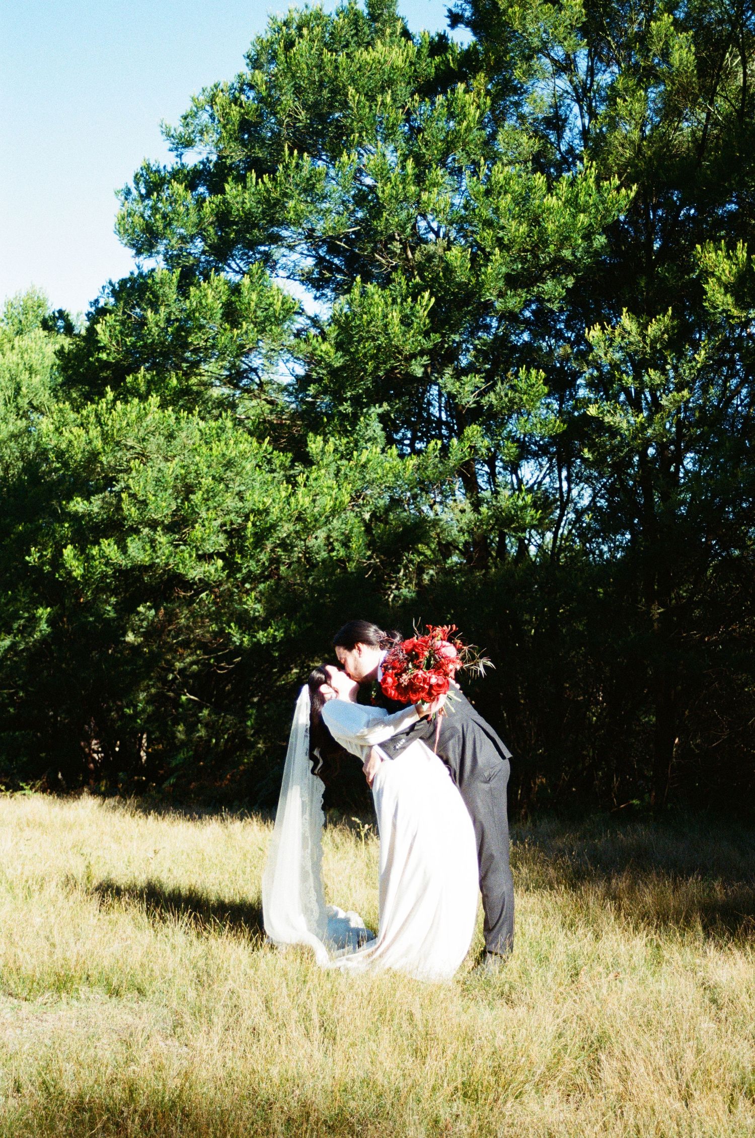 A wedding couple embracing in a sun-lit meadow with tall pine trees in the background.