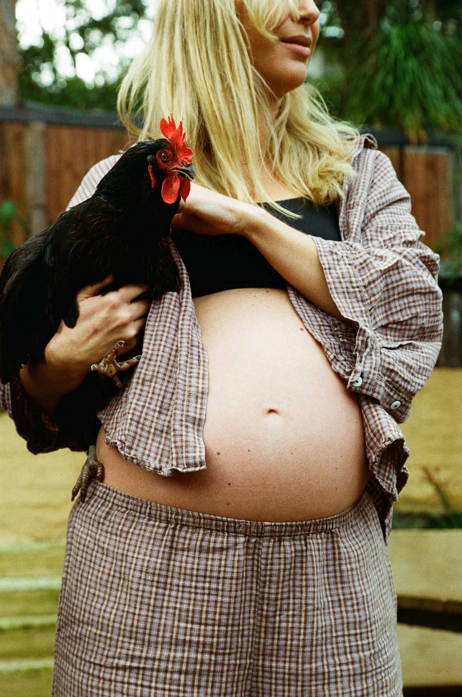 A pregnant woman in a plaid dress holds a black rooster while showing her bare belly in a backyard setting.