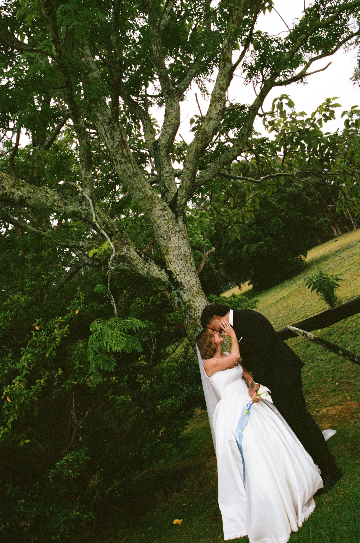 A romantic moment shared under green tree branches in a garden setting.