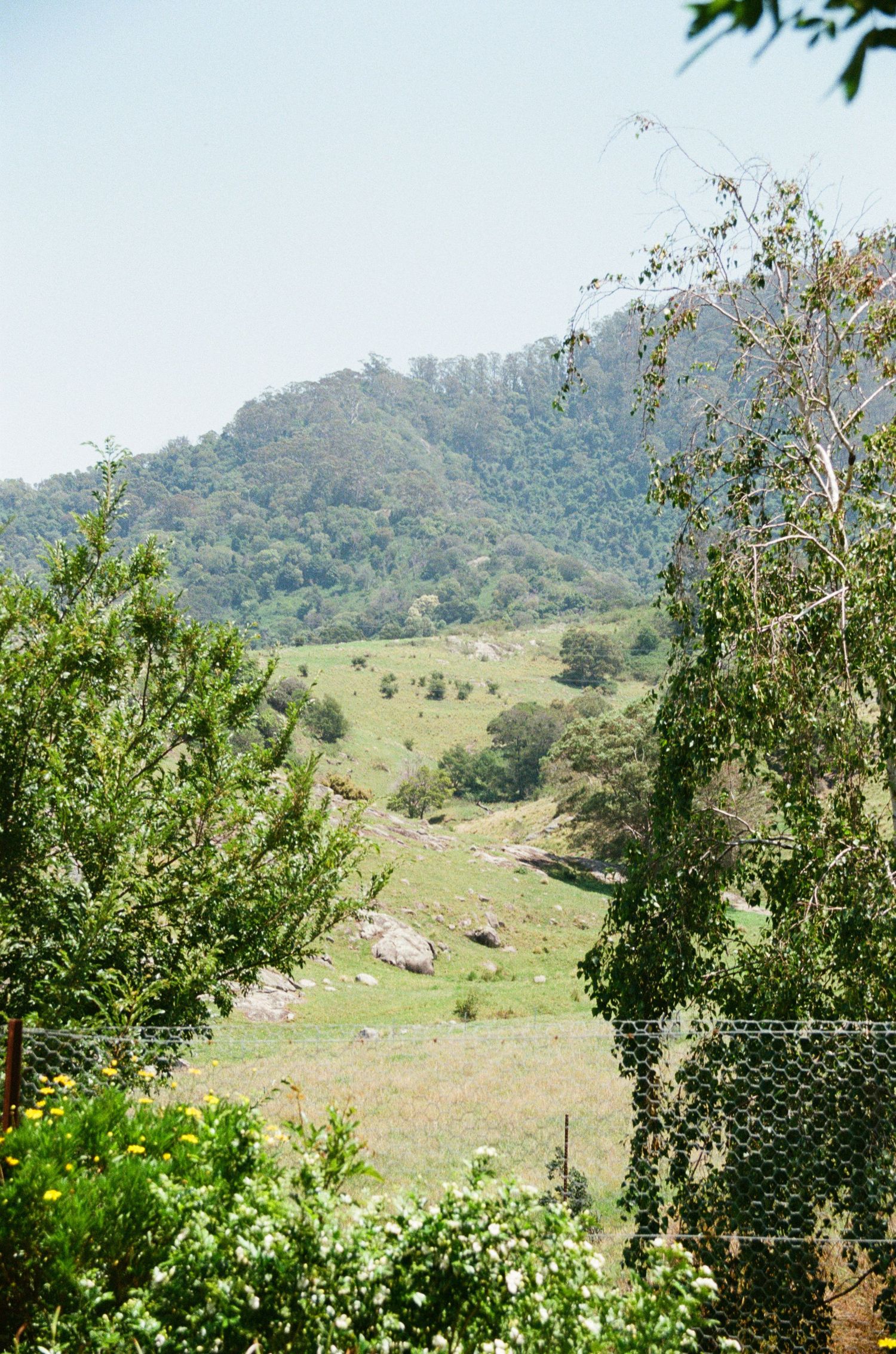Rolling hills and mountains create a scenic landscape view on a clear day.