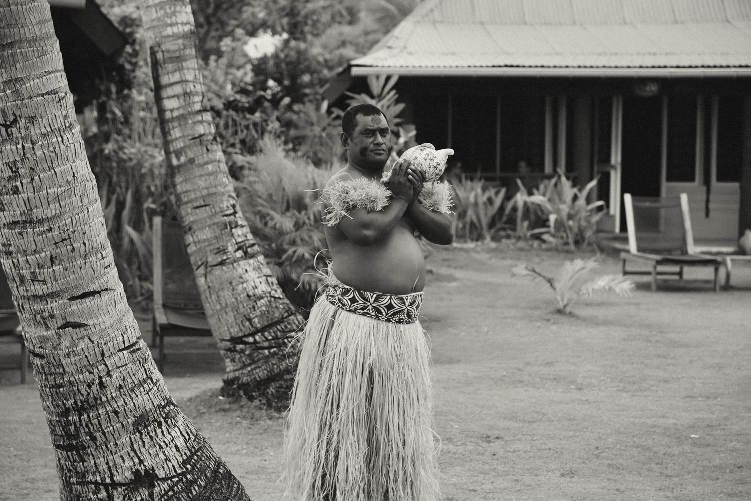 A series of black and white photographs showing people in traditional Hawaiian grass skirts dancing near palm trees.