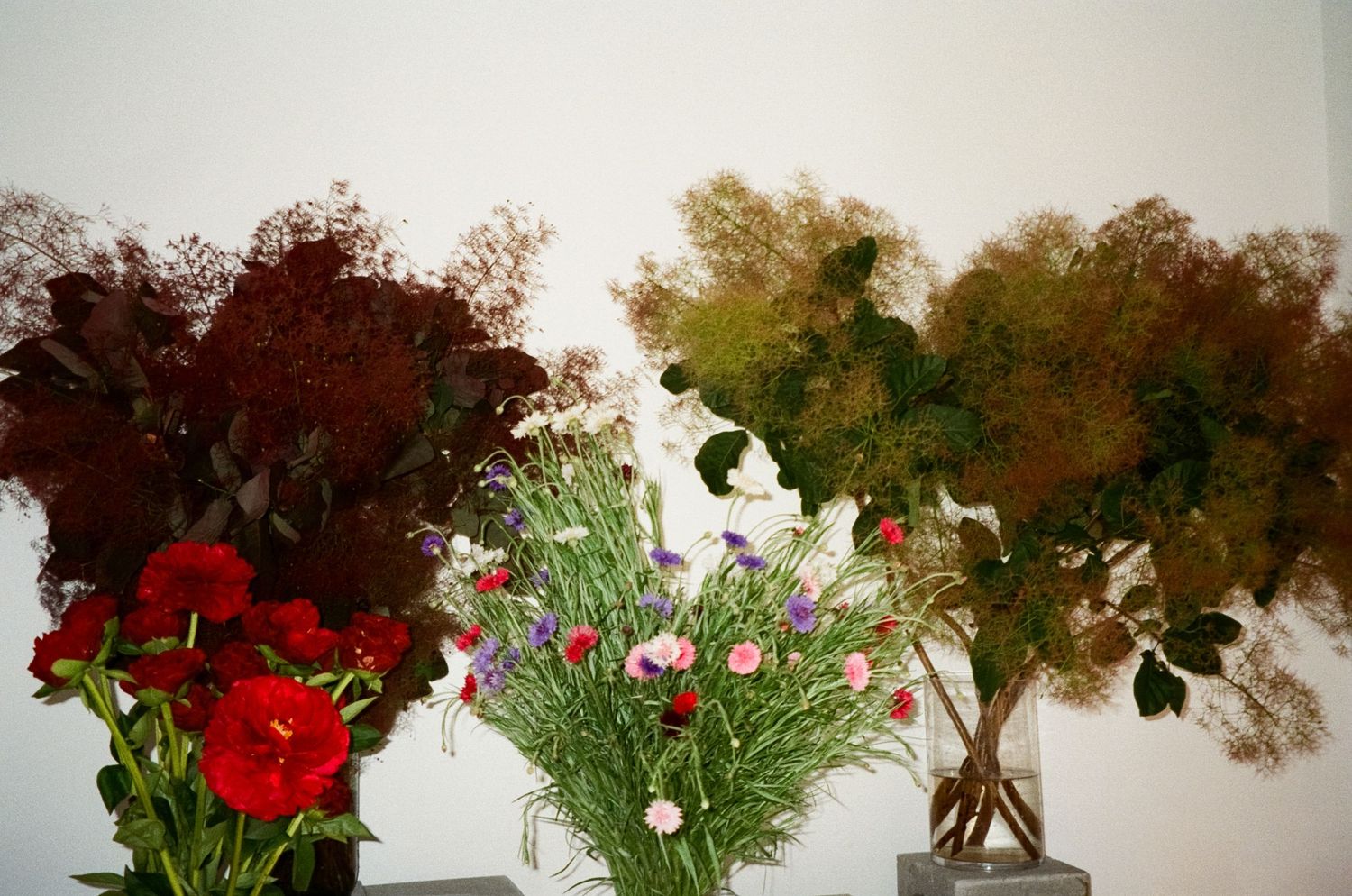A horizontal arrangement of red carnation flowers and dried brown floral elements displayed against a white wall.