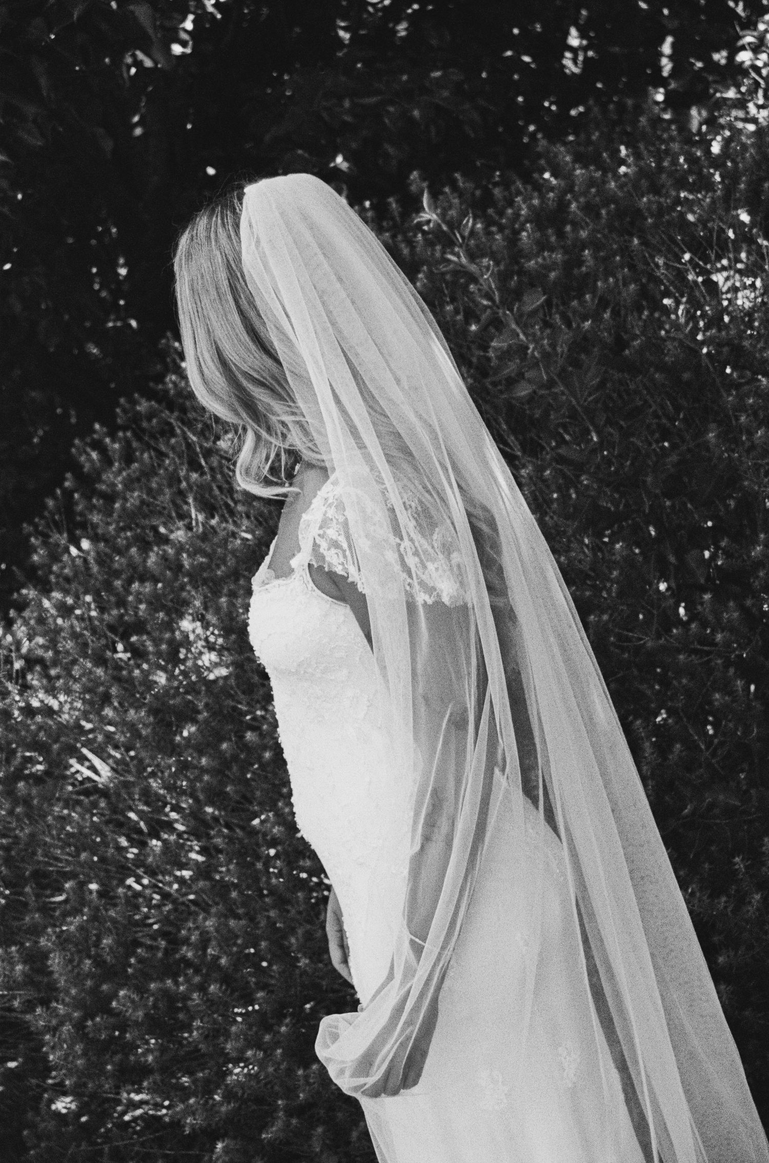 An ethereal black and white portrait showcasing flowing bridal veil details.