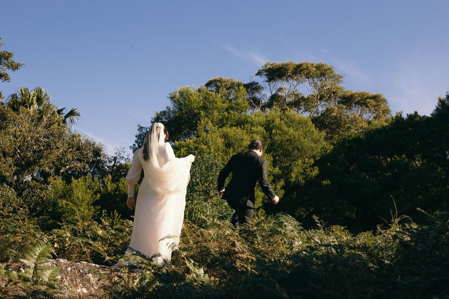 Outdoor wedding venue with sunlit trees and natural landscape.