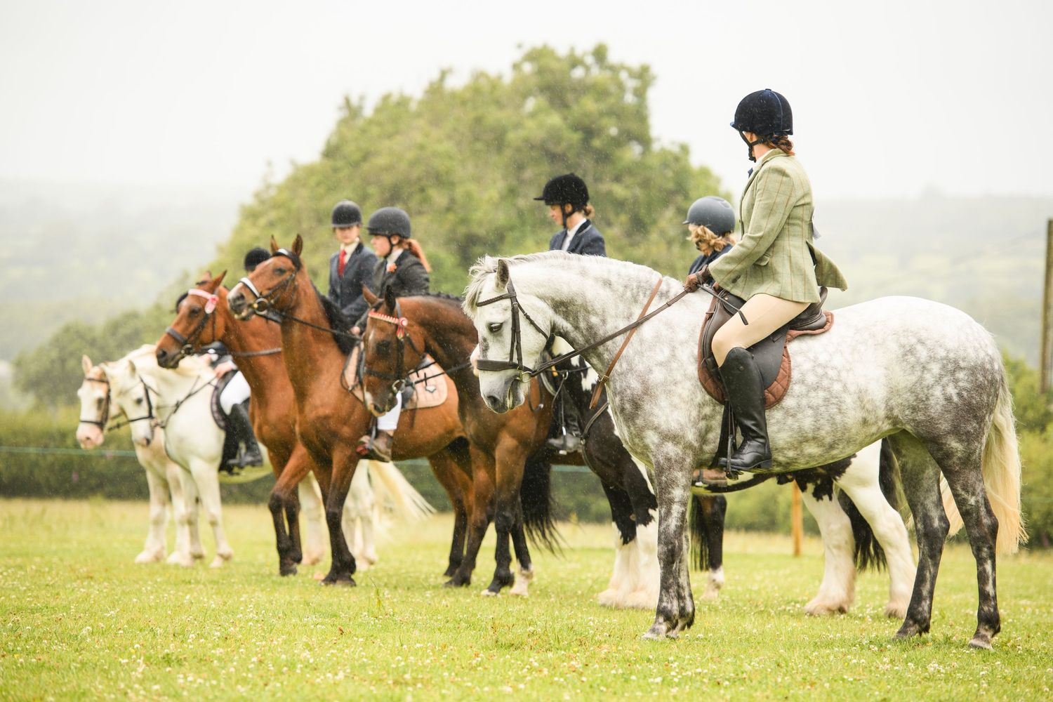 Group of equestrians in traditional riding attire on horses gathered in a green field during a misty day.
