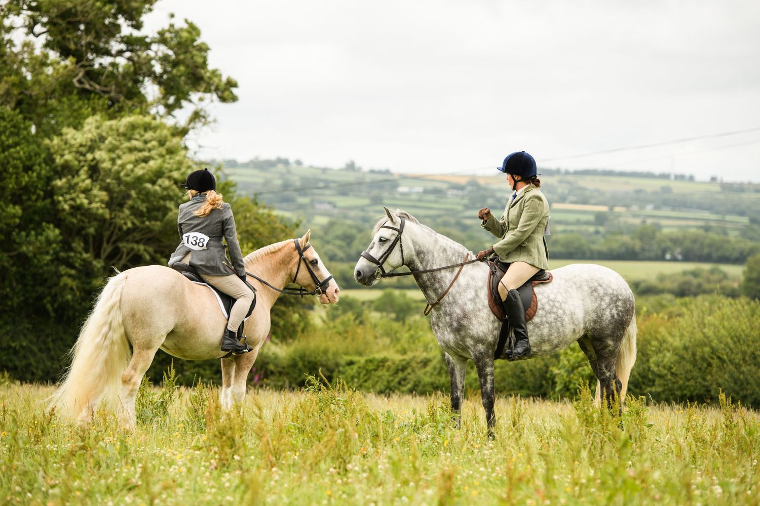 Two riders on grey and palomino horses facing each other in a lush green countryside field.