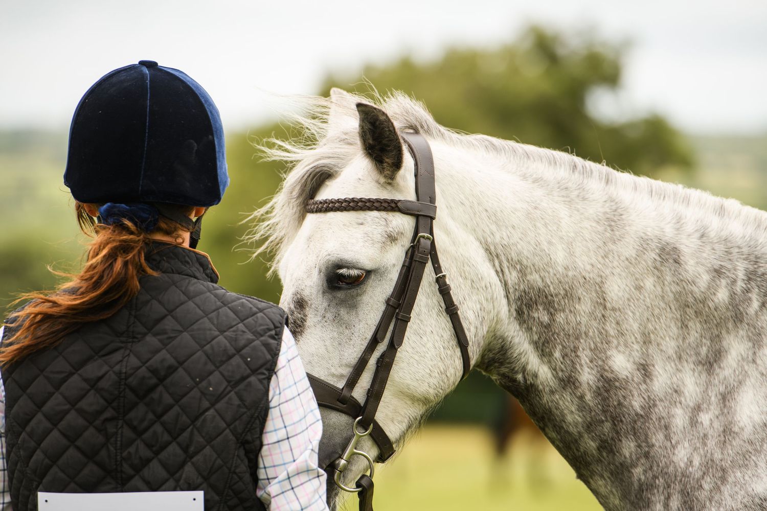 Red-haired equestrian in blue helmet bonding with a dapple grey horse wearing a bridle outdoors.