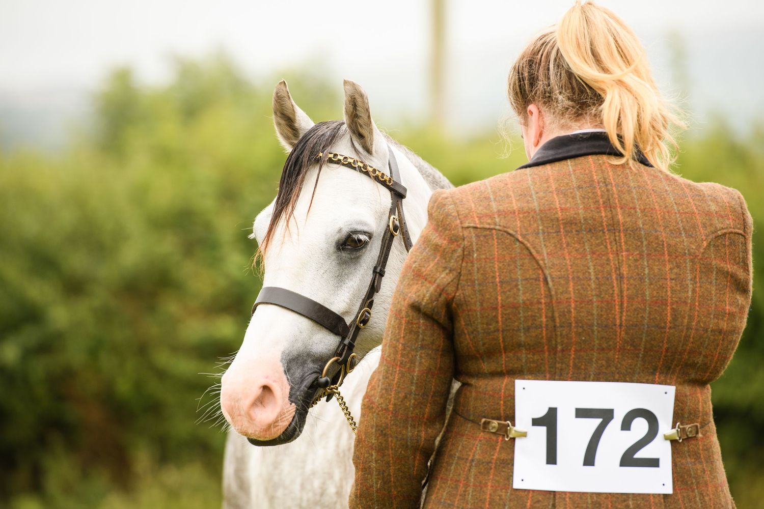 A blonde woman in a brown tweed jacket wearing number 172 stands beside a white horse at an equestrian show.