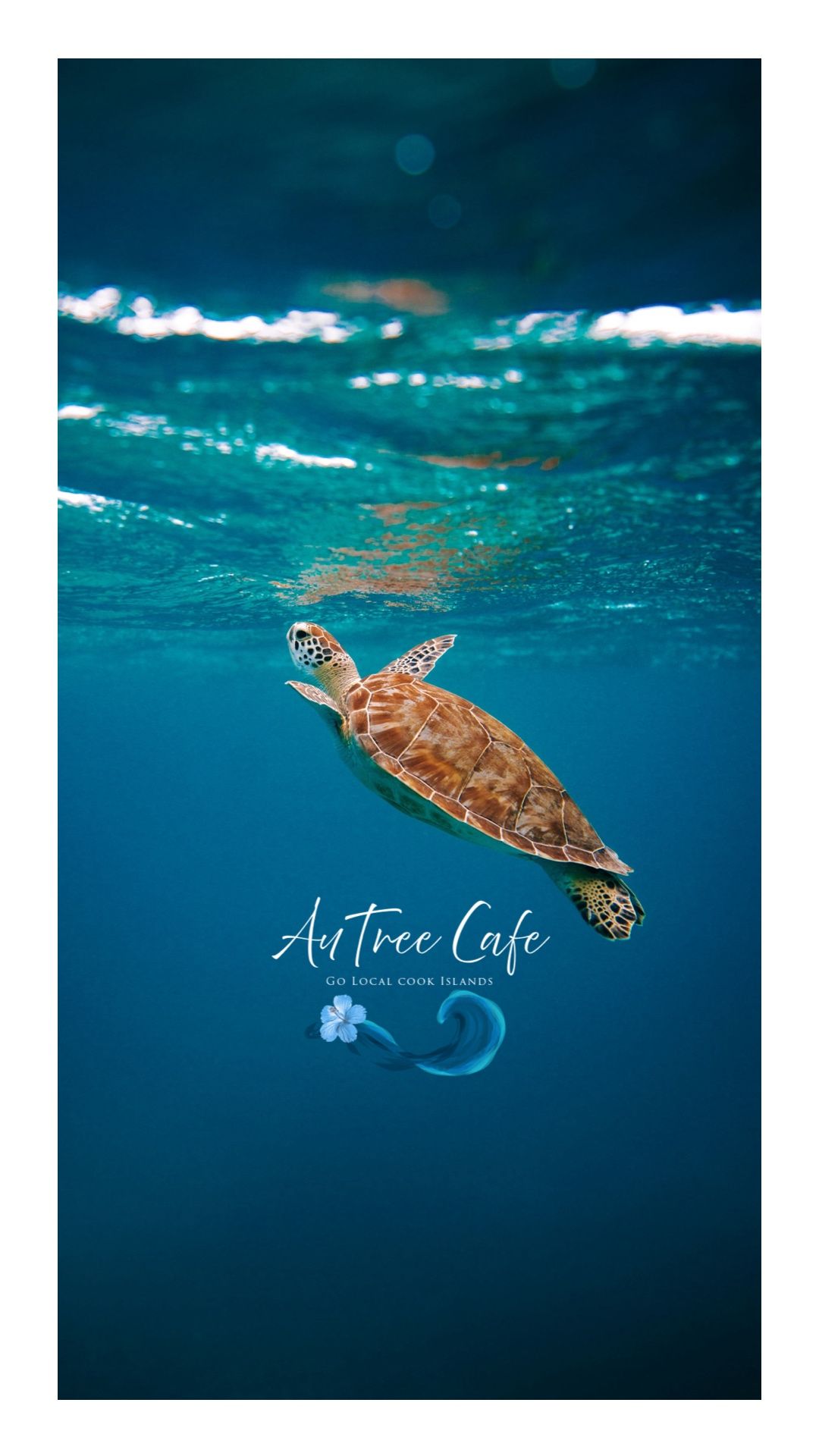 A sea turtle glides gracefully beneath the turquoise ocean surface with text overlay reading 'Artree Cafe'.