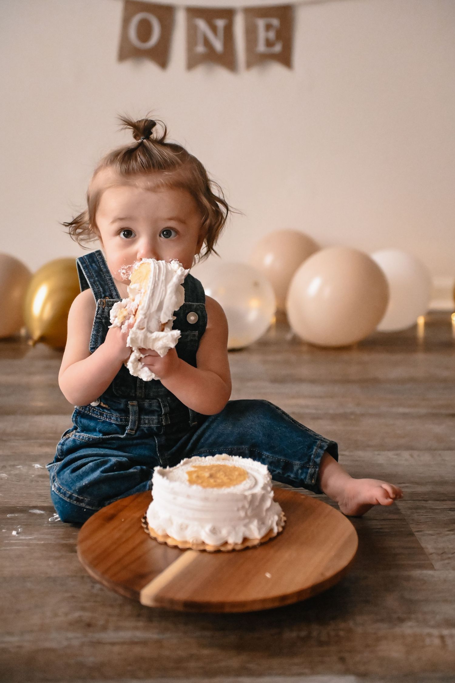Worcester MA cake smash photographer