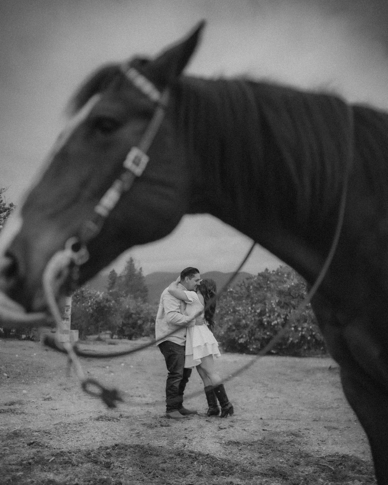 A black and white romantic portrait of a couple embracing in soft focus of a horse photoshoot