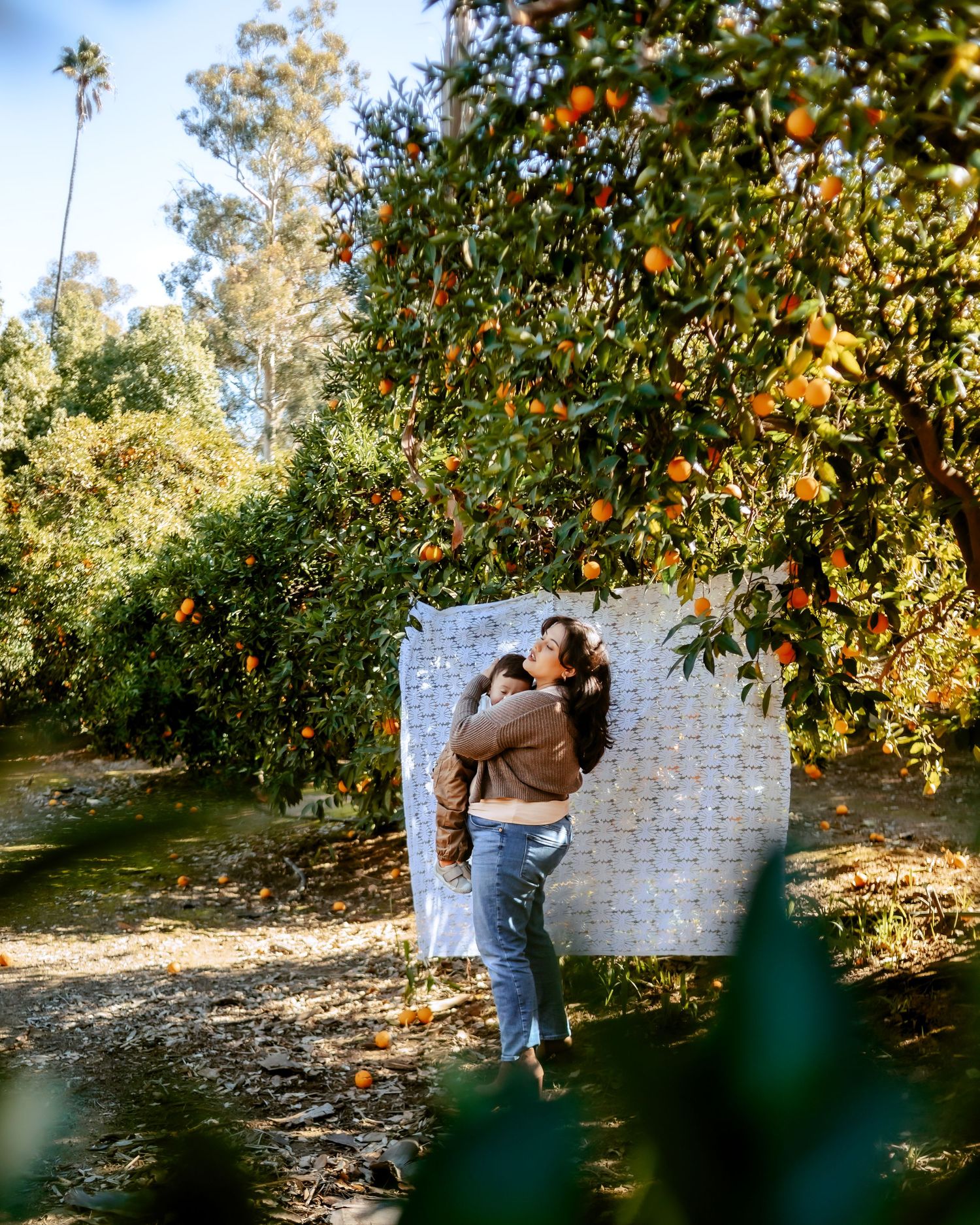 Mommy and me photoshoot in a citrus grove in Redlands, California