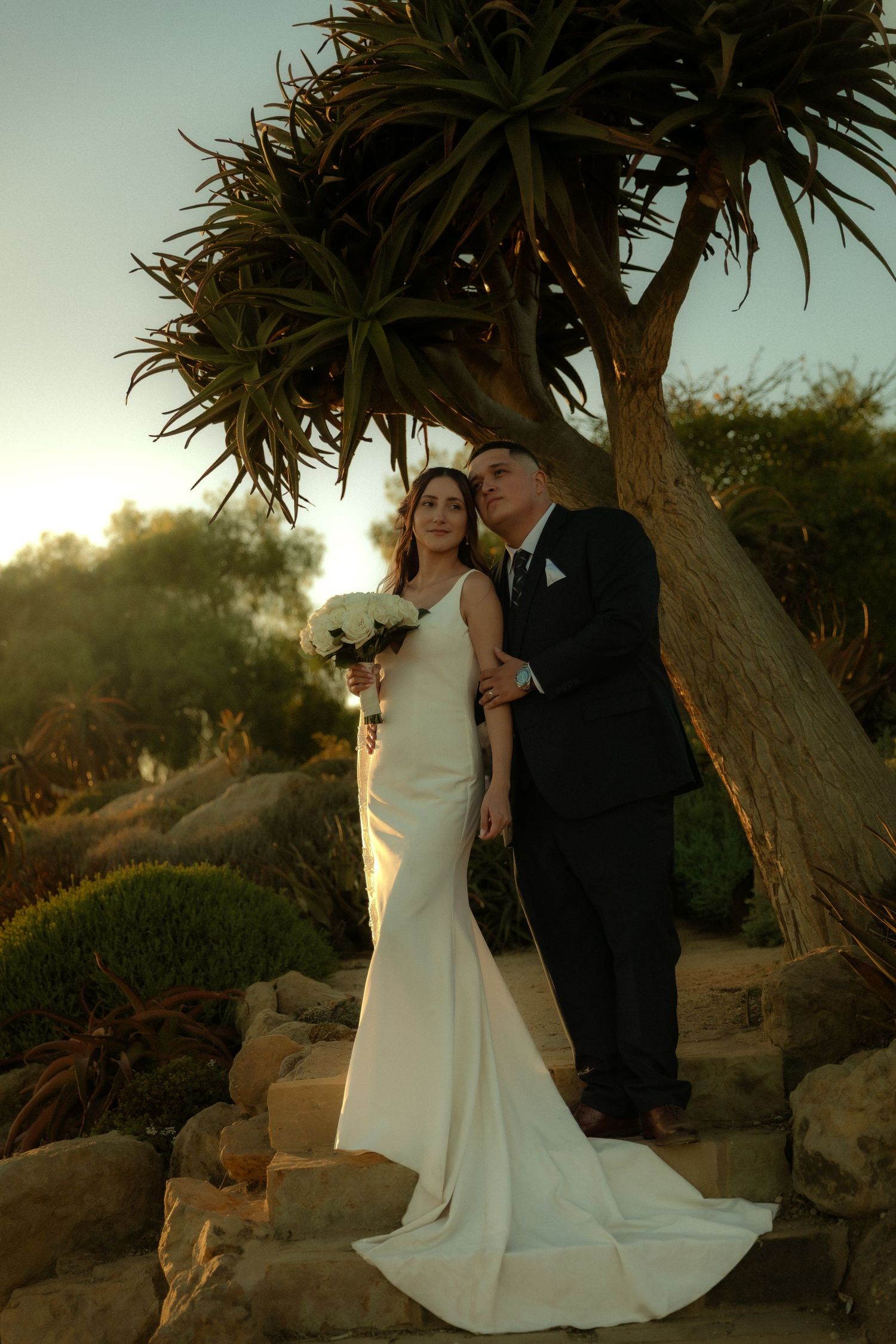 A couple poses for a romantic sunset wedding photo under a tropical palm tree on rocky terrain in Ventura, California.