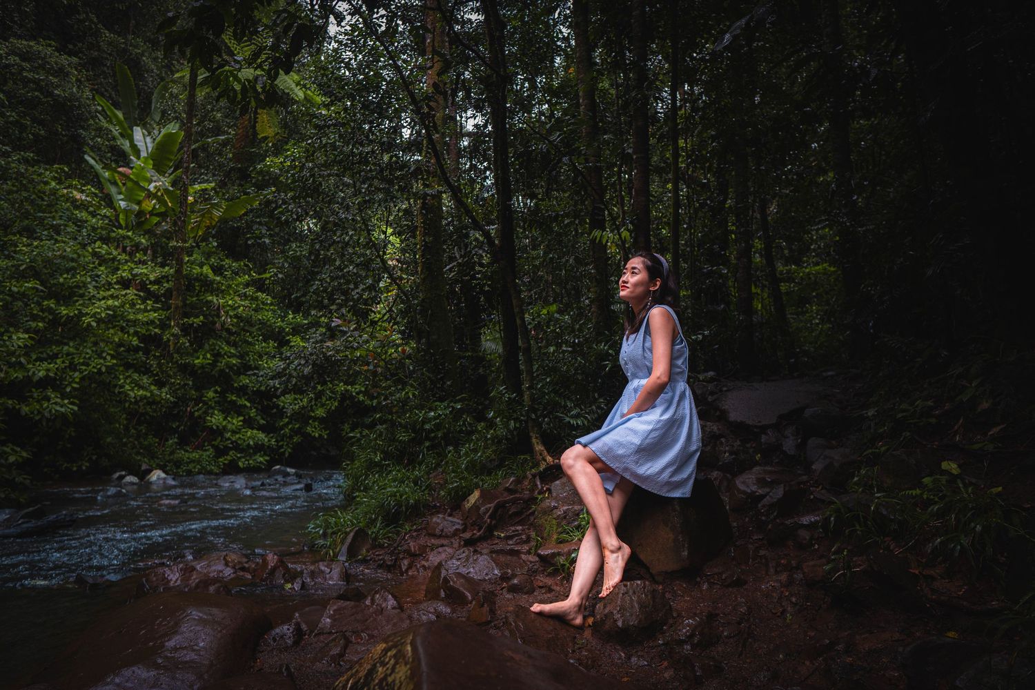 Woman in blue dress sitting on rocks beside a serene forest stream surrounded by lush green trees.