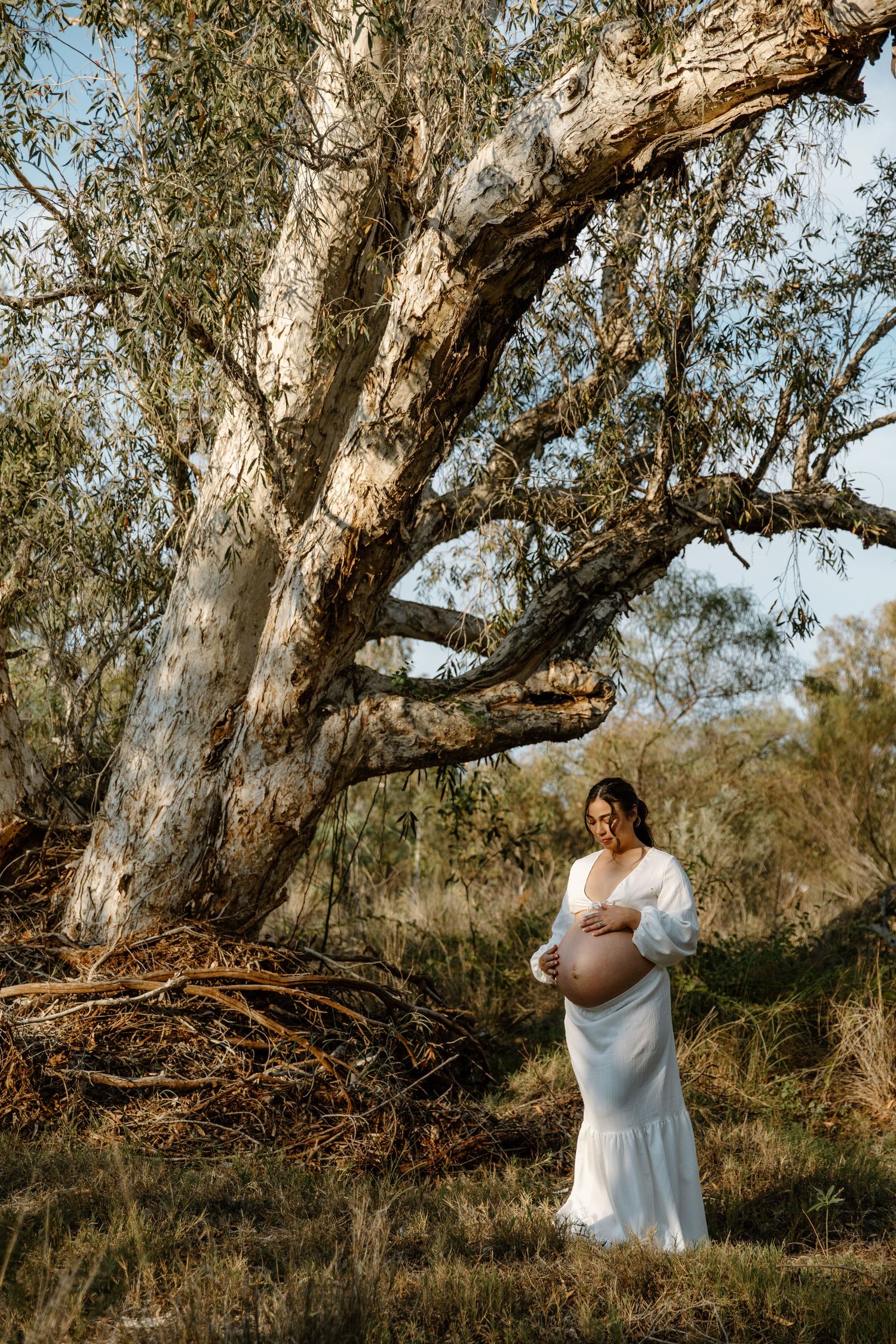 A maternity photo shoot under a large gnarled eucalyptus tree in natural lighting in Wickham.