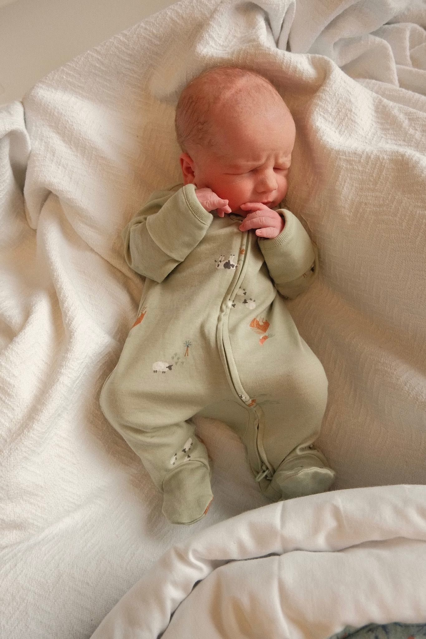 Newborn baby sleeping peacefully in a Moses basket wearing a sage green zip-up sleepsuit with animal print.