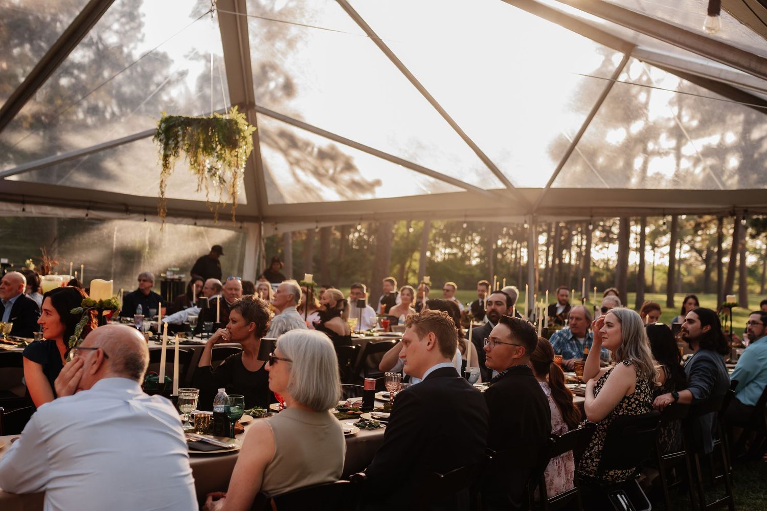 Guests dining under a clear tent at an outdoor wedding reception surrounded by trees in golden evening light.