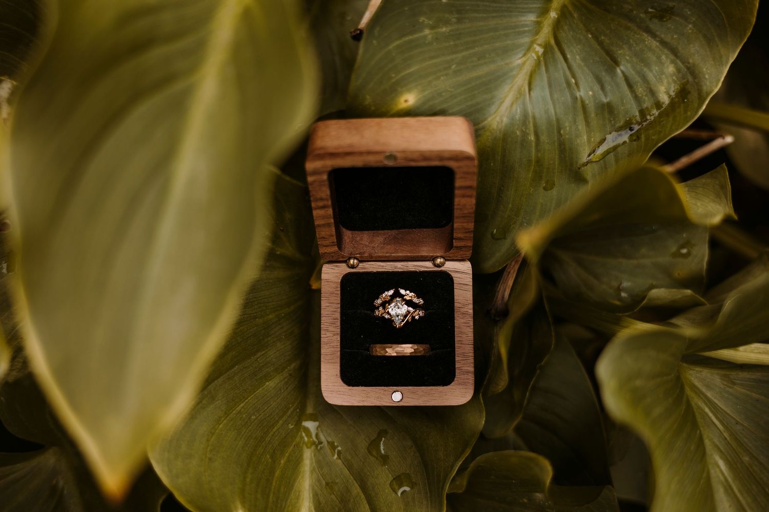 Wooden ring box displayed among green tropical leaves in natural lighting.