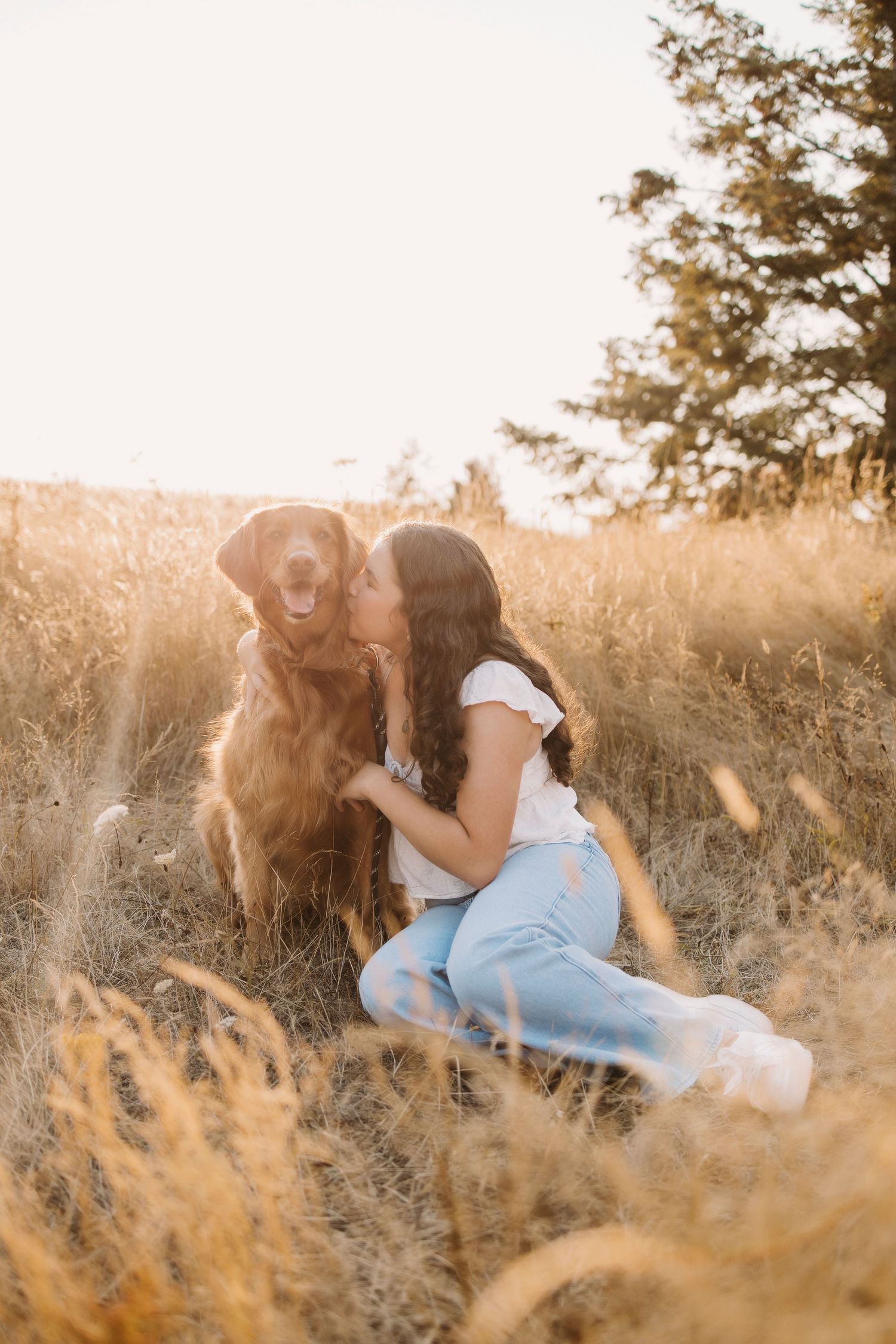 Romantic couple embracing in golden sunset field with tall grass.