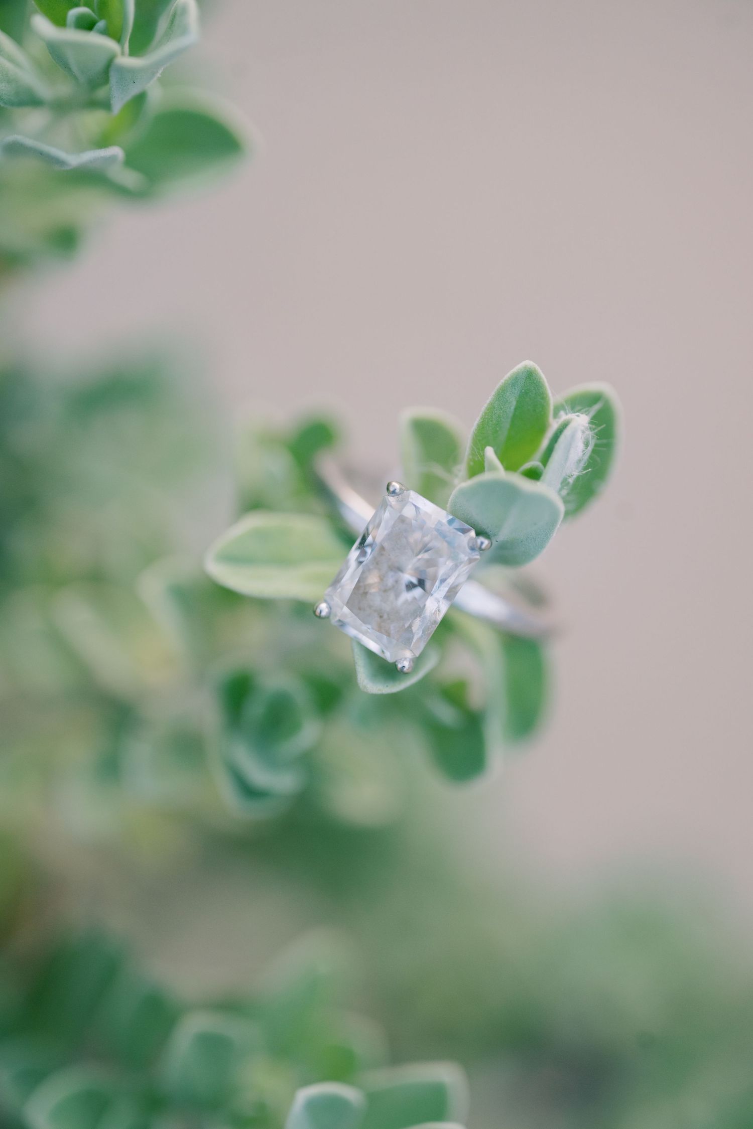 Elegant radiant-cut diamond solitaire engagement ring displayed on green succulent leaves.