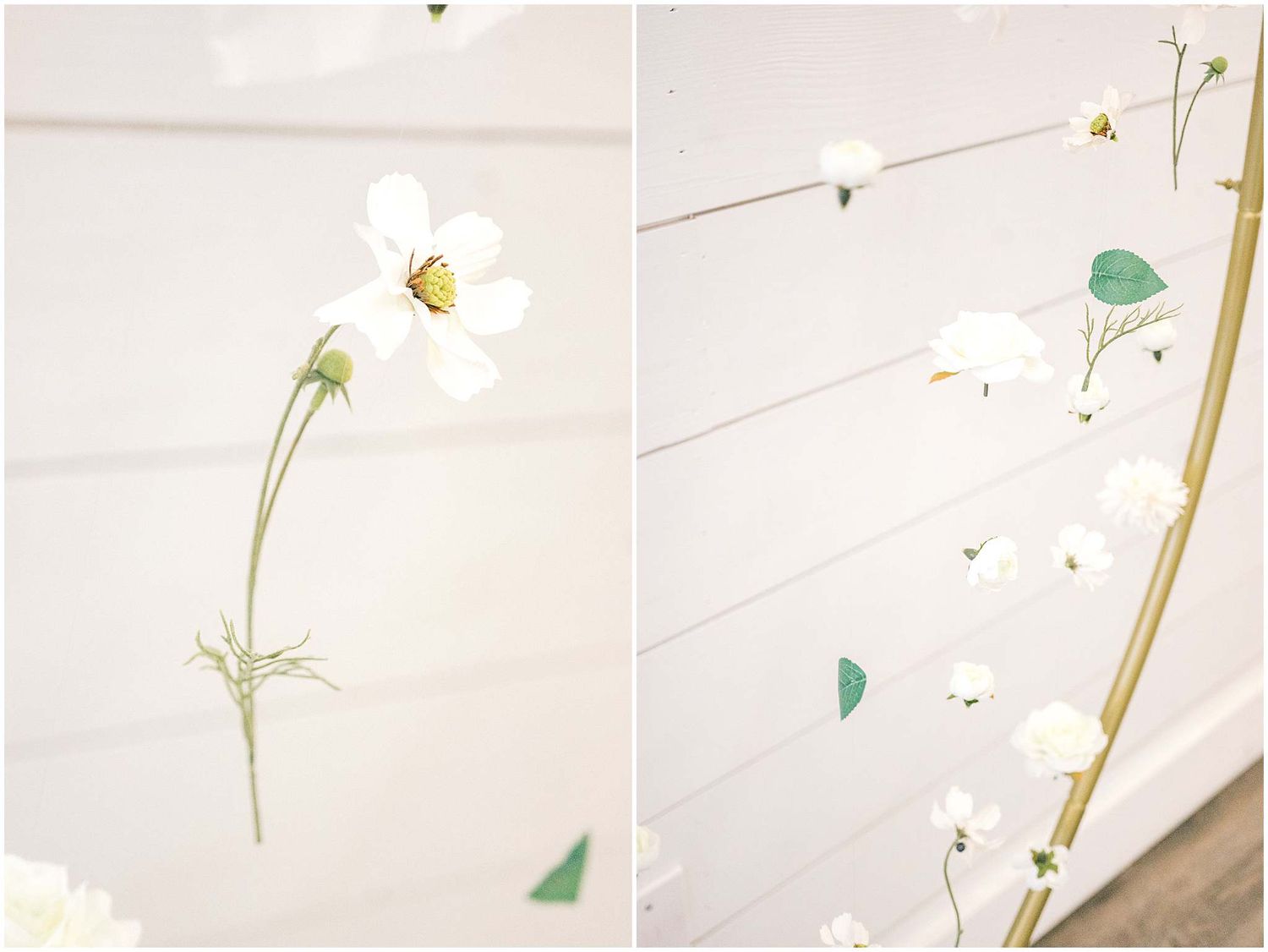Delicate white daisy flowers arranged against a light background with soft bokeh effect.
