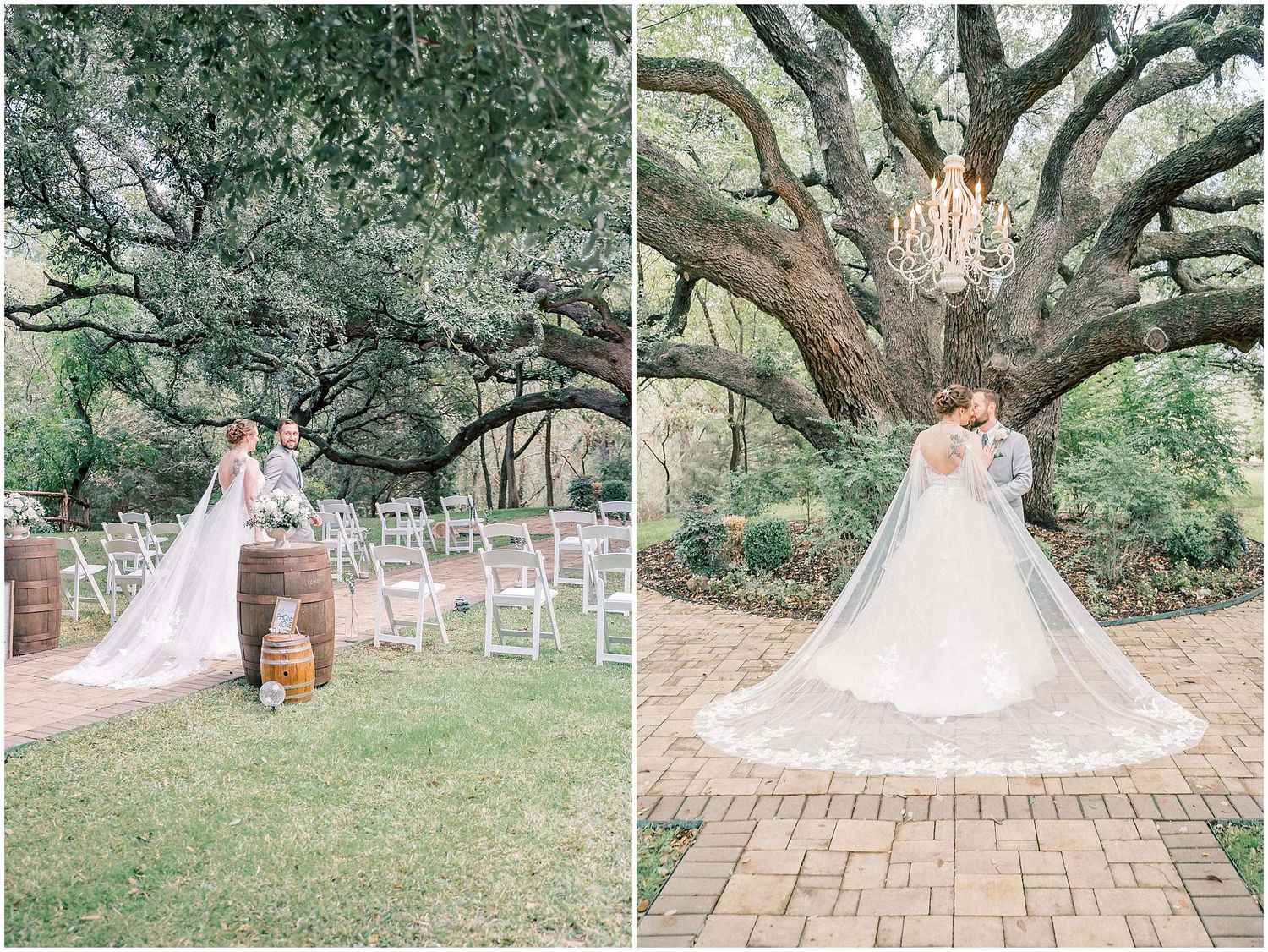 A romantic outdoor wedding setup with white chairs and a majestic oak tree backdrop on a sunny day.