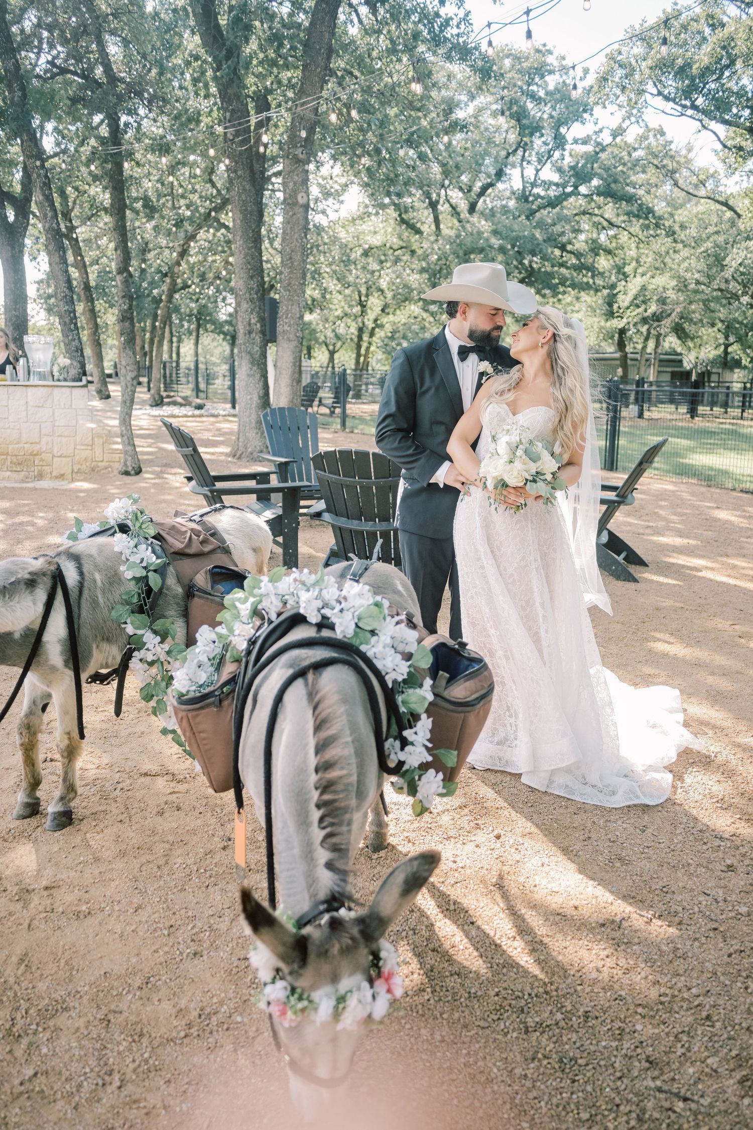 Bride and groom share a tender moment surrounded by flower-adorned donkeys at an outdoor venue.