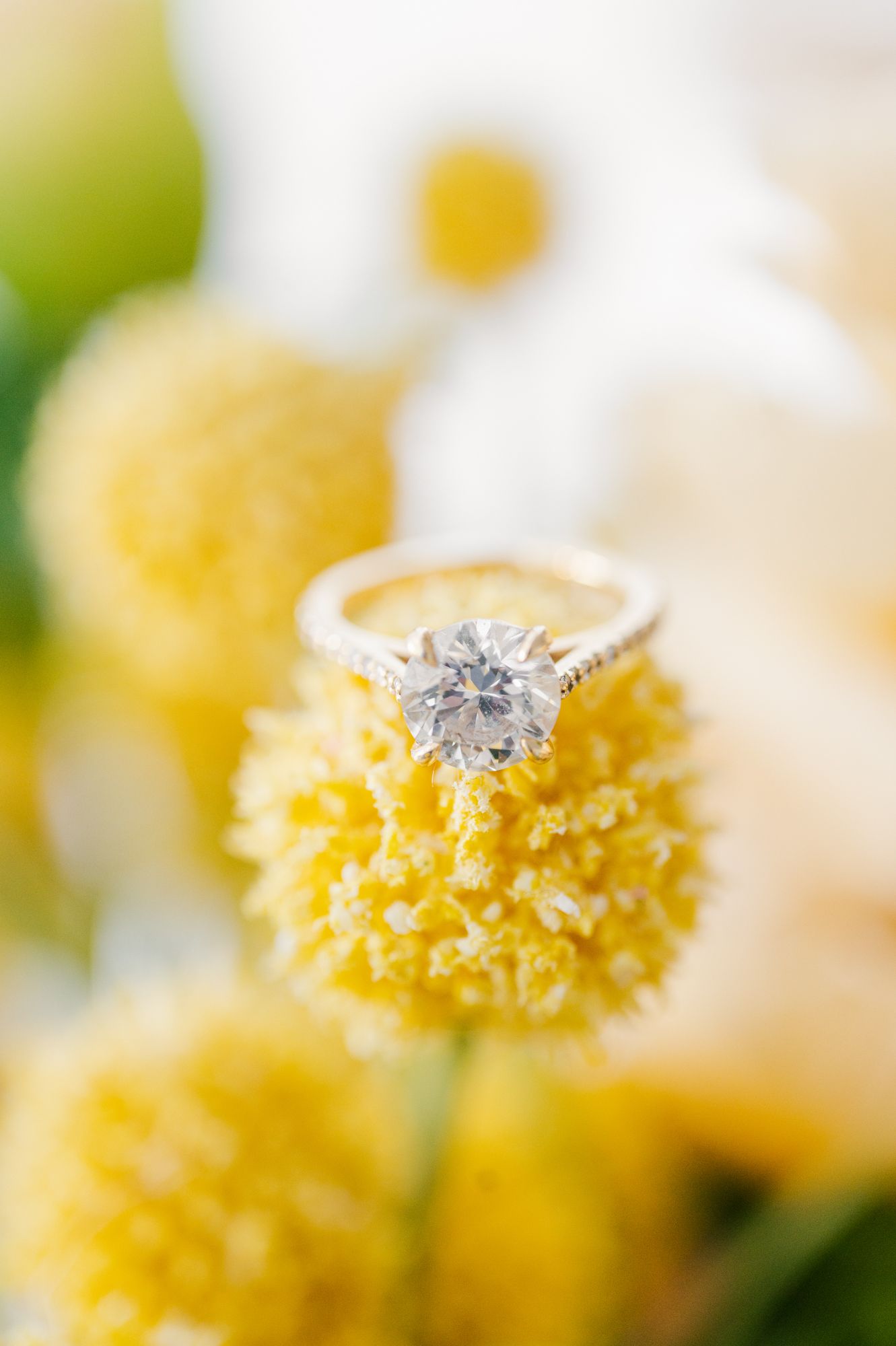 A sparkling diamond engagement ring nestled in the center of a delicate white and yellow flower bloom.