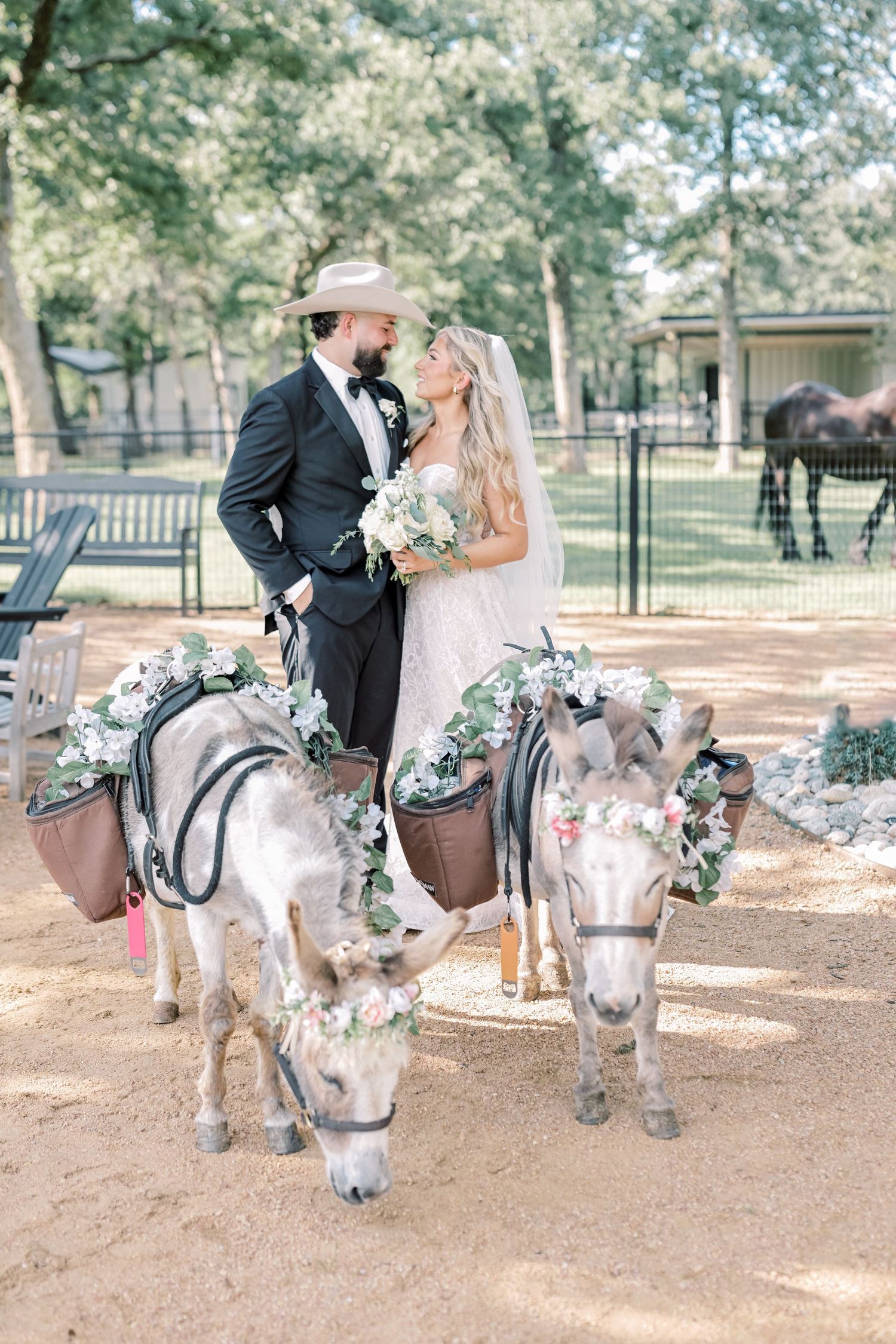 Newlywed couple shares a kiss surrounded by floral-adorned donkeys at rustic ranch wedding venue.
