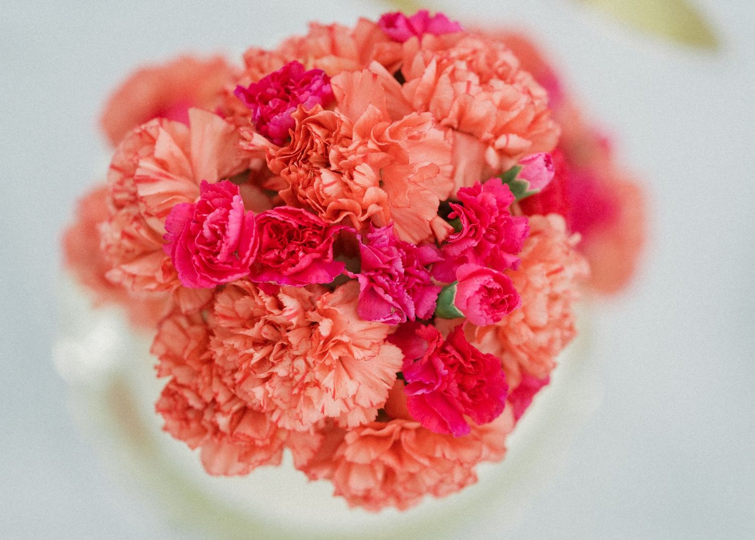 the springs wedding and event center weatherford | Rae De Lain Weddings - Dallas Fort Worth Texas