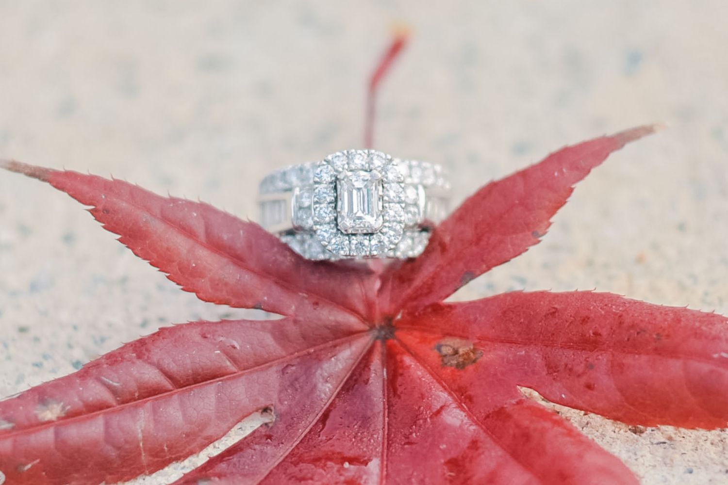 Diamond halo engagement ring displayed on a vibrant red autumn leaf on sandy surface.