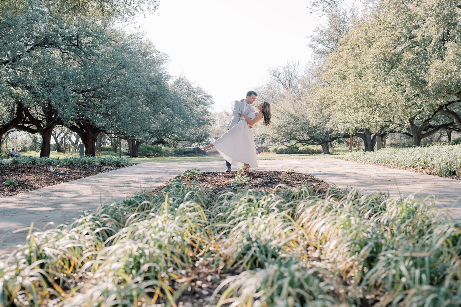 A scenic orchard path lined with pecan trees stretches into the distance on a misty autumn morning.
