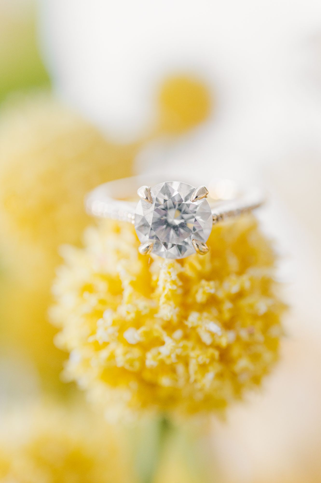 A sparkling diamond engagement ring rests atop delicate yellow flowers in a dreamy macro photograph.
