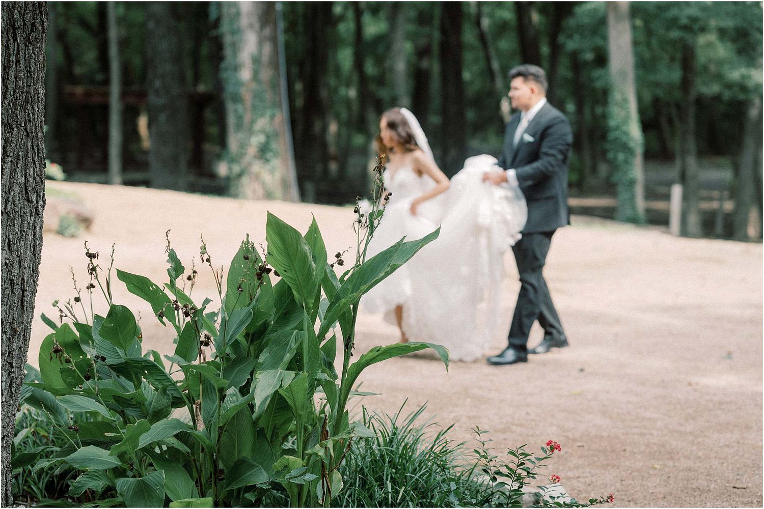 Outdoor wedding portraits surrounded by tall trees and lush summer foliage.