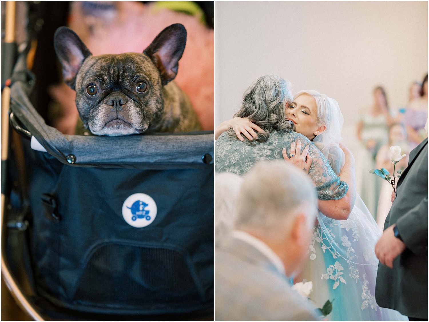 French bulldog wearing formal attire at a wedding celebration.