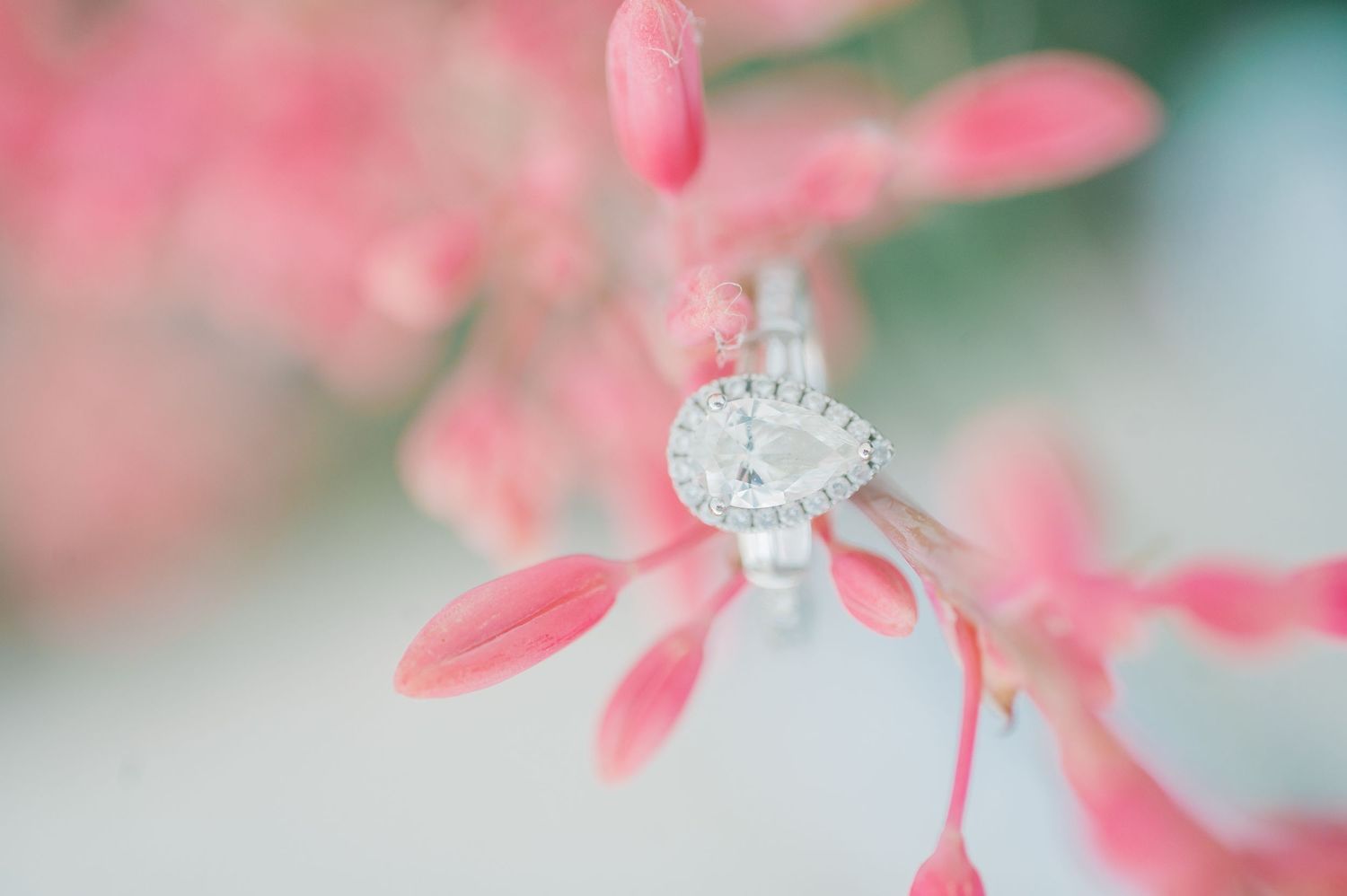 Pink coral bells flowers bloom against a soft blurred green background in a delicate spring garden scene.