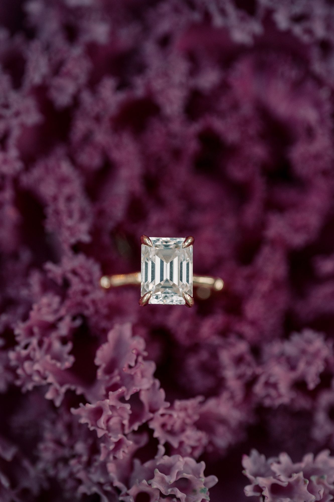 Elegant emerald cut diamond engagement ring photographed against a backdrop of deep purple ornamental kale leaves.