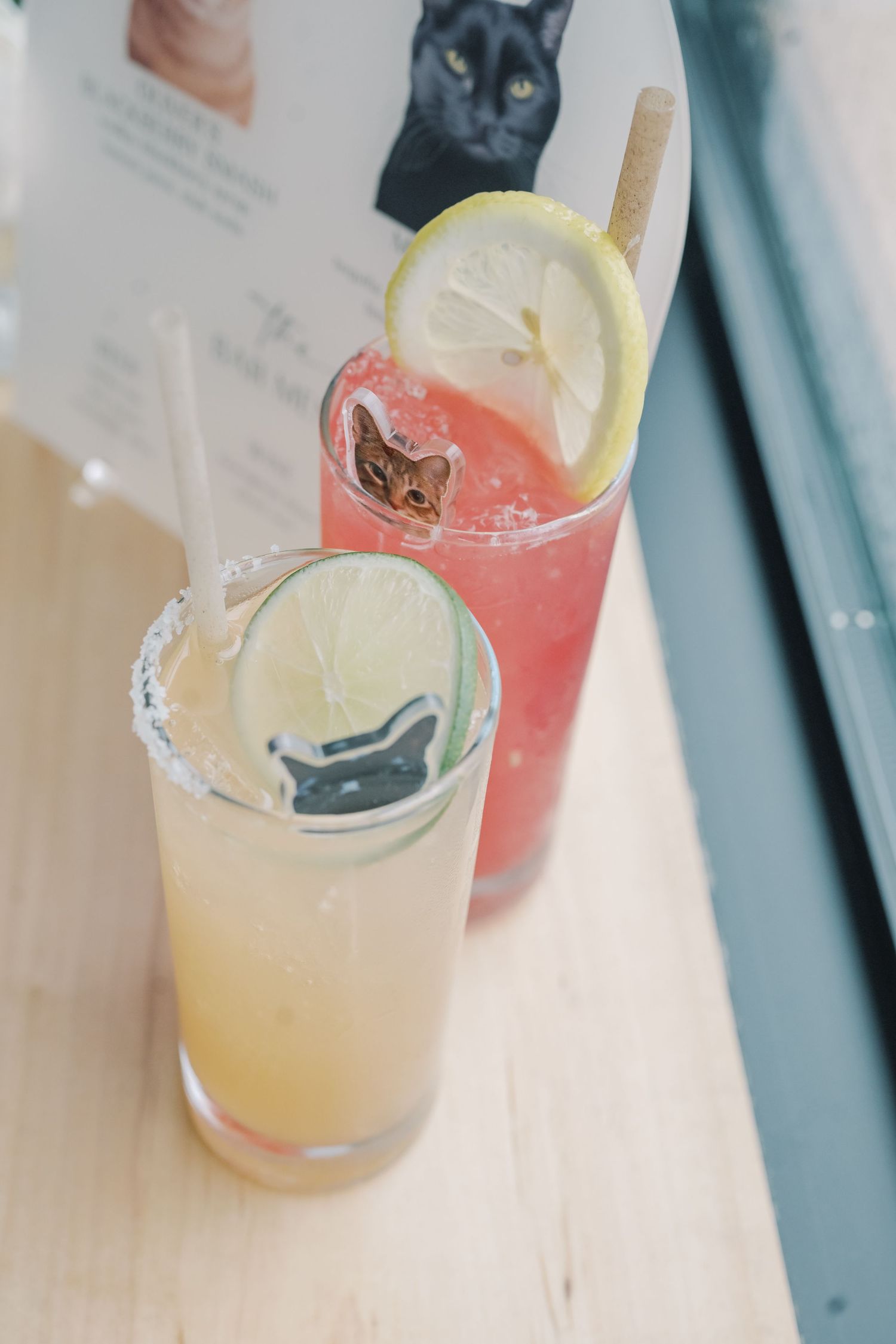 Two cocktails garnished with citrus slices and cat-themed decorations served on a wooden bar surface.