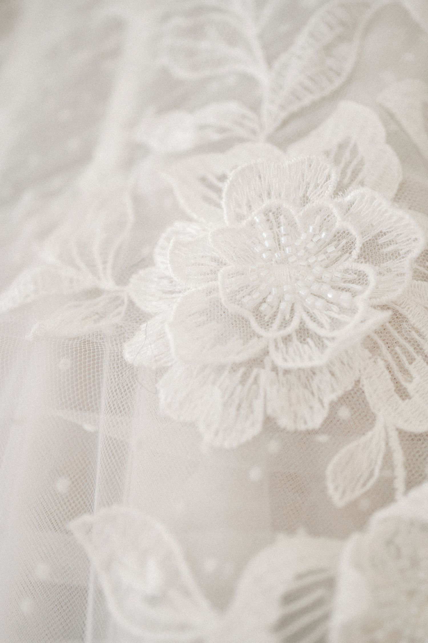 la rosa ranch | Rae De Lain Weddings - Dallas Fort Worth Texas