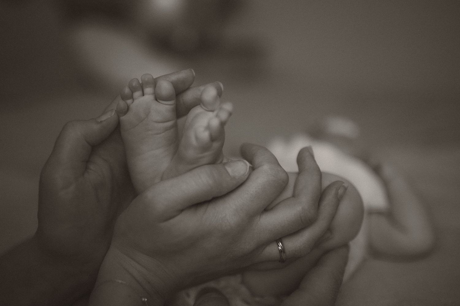 Close-up black and white photo of adult hands gently cradling tiny newborn baby feet.