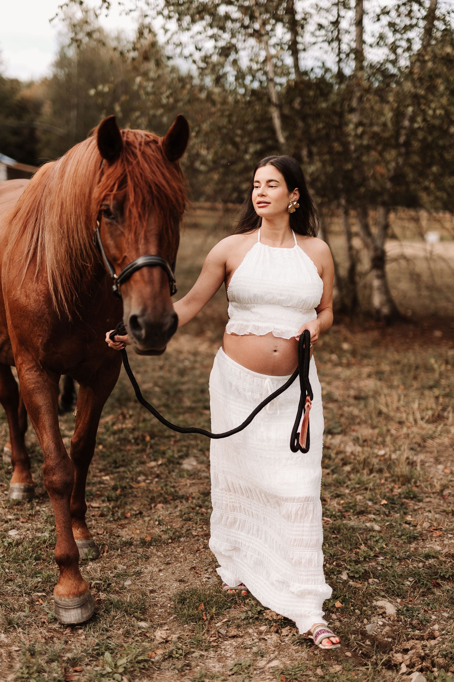 photographe, Maternité, champ, rive-sud, cheval