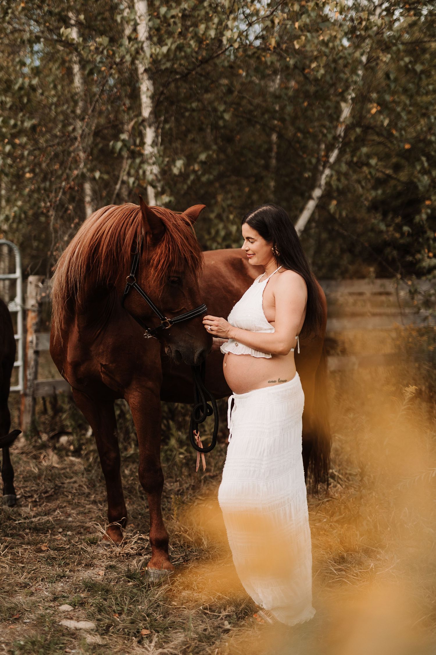 photographe, Maternité, champ, rive-sud, cheval