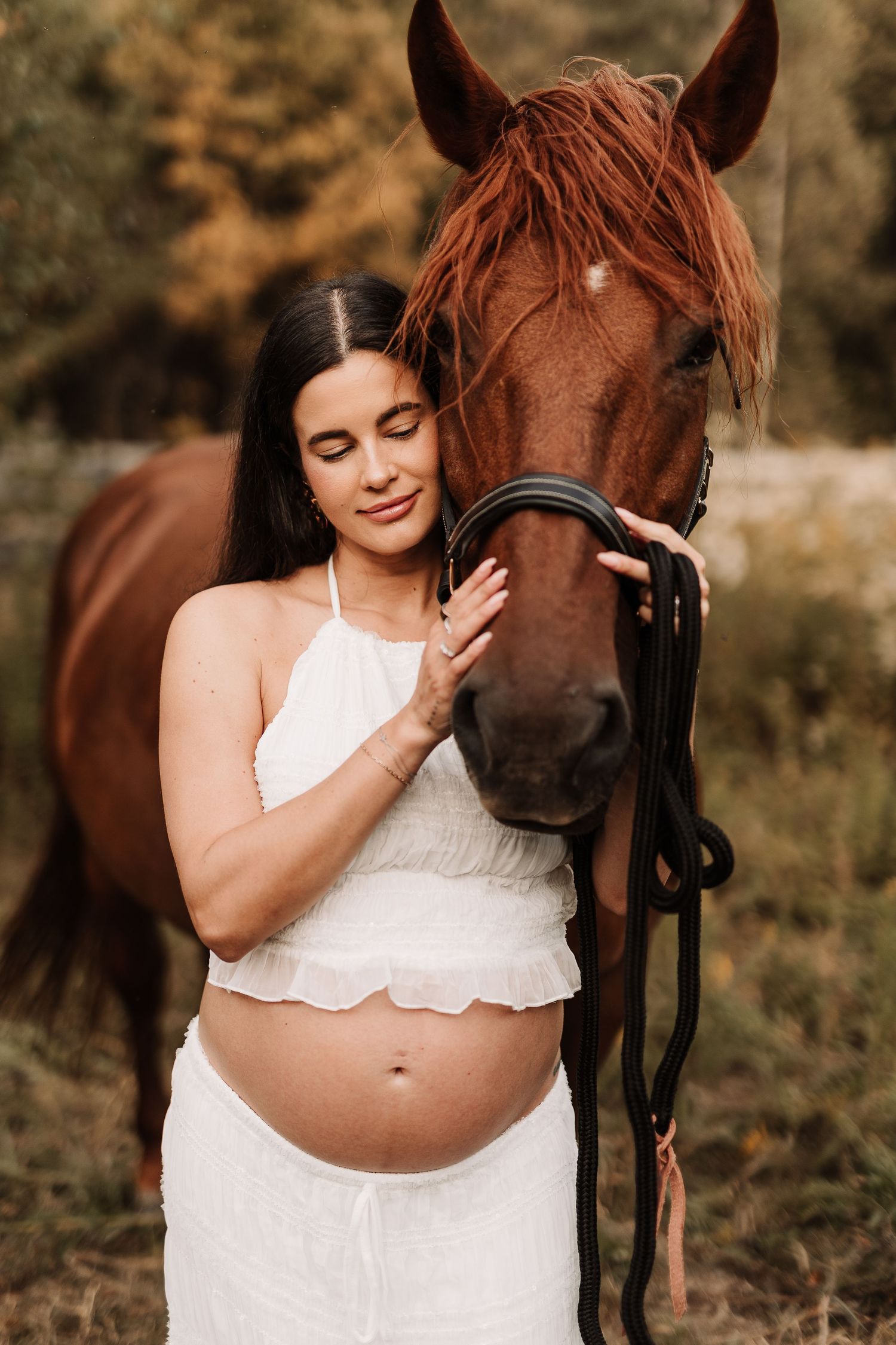 photographe, Maternité, champ, rive-sud, cheval