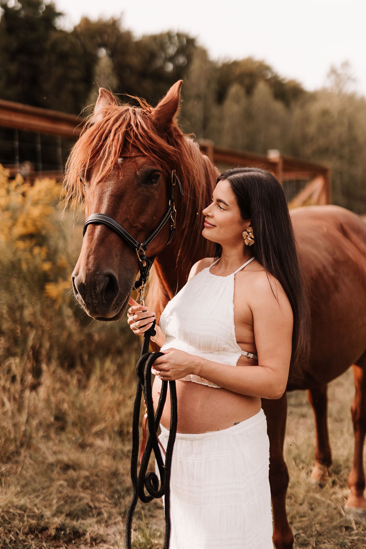 photographe, Maternité, champ, rive-sud, cheval